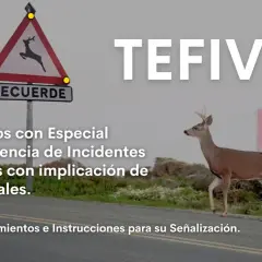 Señal de advertencia de **animales salvajes** con un ciervo cruzando la carretera. Texto: "Tramos con Especial Frecuencia de Incidentes Viales con implicación de Animales.