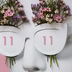 Busto blanco con flores rosas y moradas brotando de unas gafas que muestran **11:11 hora espejo**.