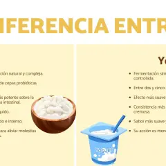 Infografía que detalla la diferencia entre kéfir y yogur, mostrando sus características y beneficios.