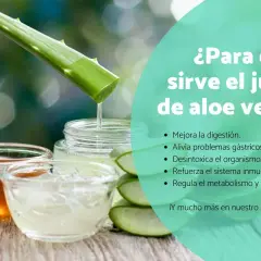 Jugo de aloe vera goteando en un frasco, junto a miel y rodajas de aloe. El texto pregunta "¿Para qué sirve el jugo de aloe vera?".