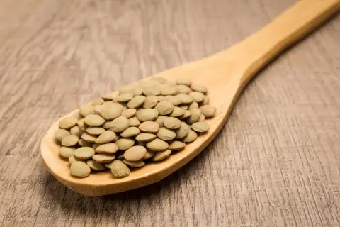Cuchara de madera llena de lentejas verdes. Aunque las lentejas engordan, son una fuente de proteína y fibra.