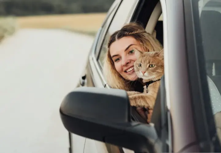 Mujer sonriente con un gato naranja en el coche. Consejos para saber como tranquilizar a un gato en el coche y que disfrute del viaje.