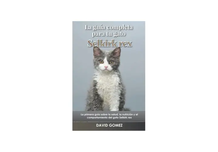 Un tierno **selkirk rex bebe** con pelaje rizado y ojos curiosos, protagonista de "La guía completa para tu gato Selkirk rex".