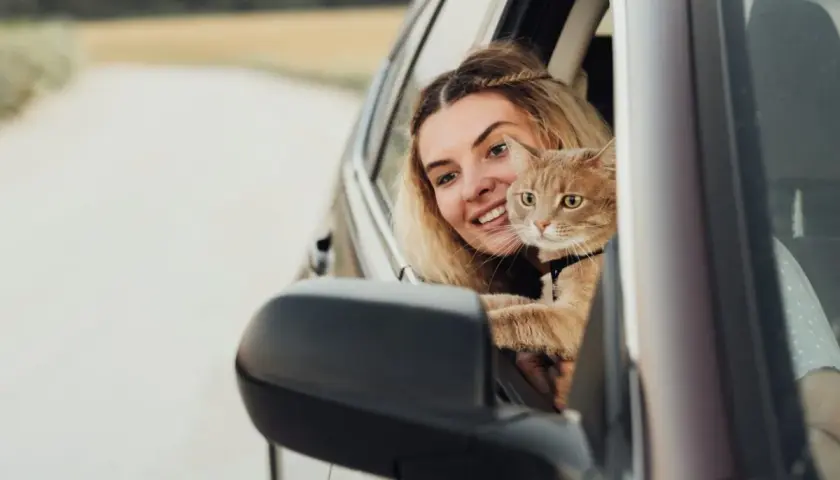 Mujer sonriente con un gato naranja en el coche. Consejos para saber como tranquilizar a un gato en el coche y que disfrute del viaje.