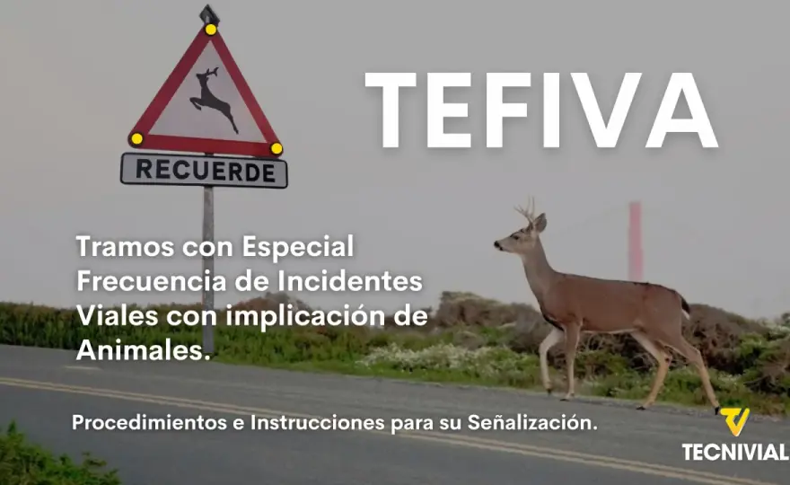 Señal de fauna P-24 - ¿Sabes leerla bien al conducir?