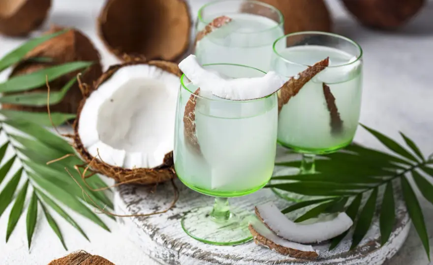 Agua de coco - ¿Hidratación real o marketing? Guía completa