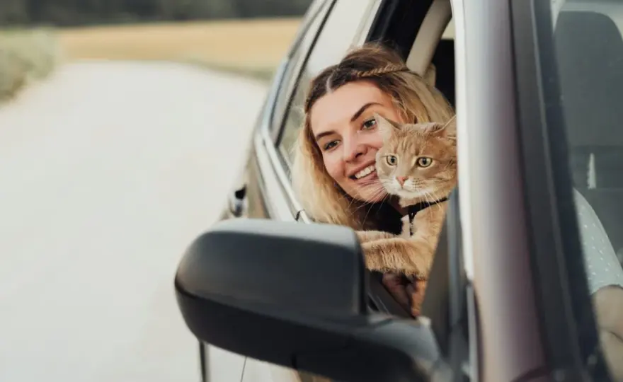 Viajar con gato en coche - Evita el estrés y los mareos