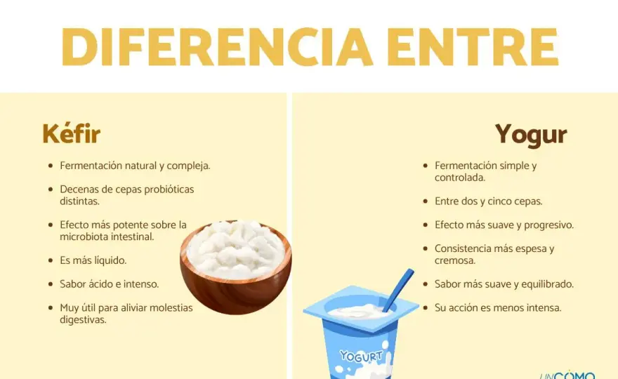 Kéfir vs Yogur - ¿Cuál es mejor para ti?