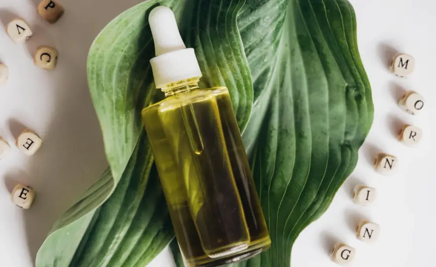 Aceite de orégano para adelgazar - ¿Funciona o es un mito?