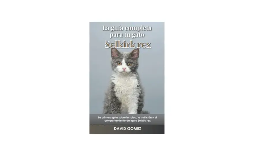 Selkirk Rex bebé - Guía completa para su cuidado y adaptación