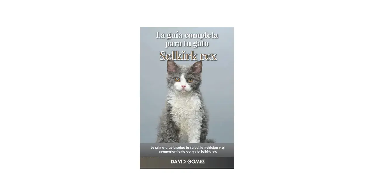 Un tierno **selkirk rex bebe** con pelaje rizado y ojos curiosos, protagonista de "La guía completa para tu gato Selkirk rex".
