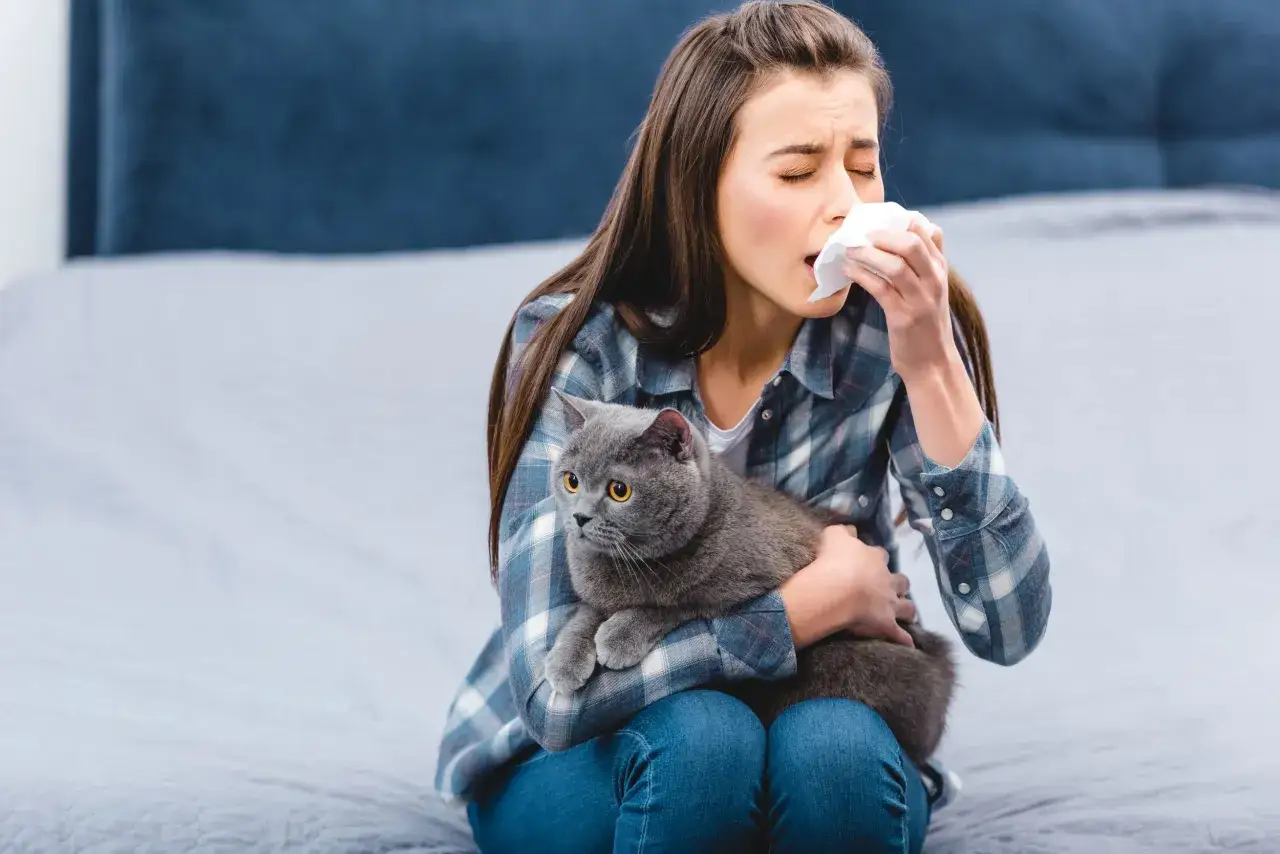 Mujer estornudando mientras abraza a su gato, buscando una vacuna para alergia a gatos.