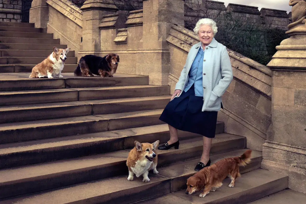 La Reina Isabel con sus perros corgi y dachshund en unas escaleras de piedra.